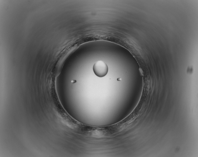 X0000090470412200707201358