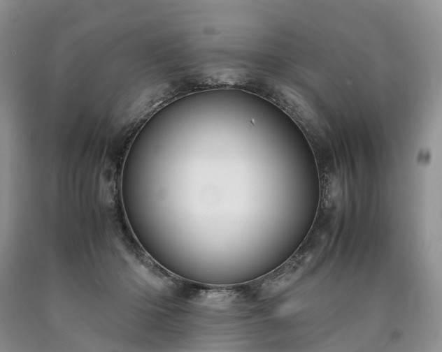 X0000090470414200707201358