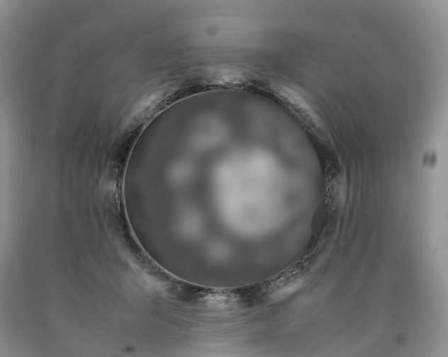 X0000090470415200707201358