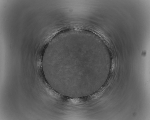 X0000090470417200707201358