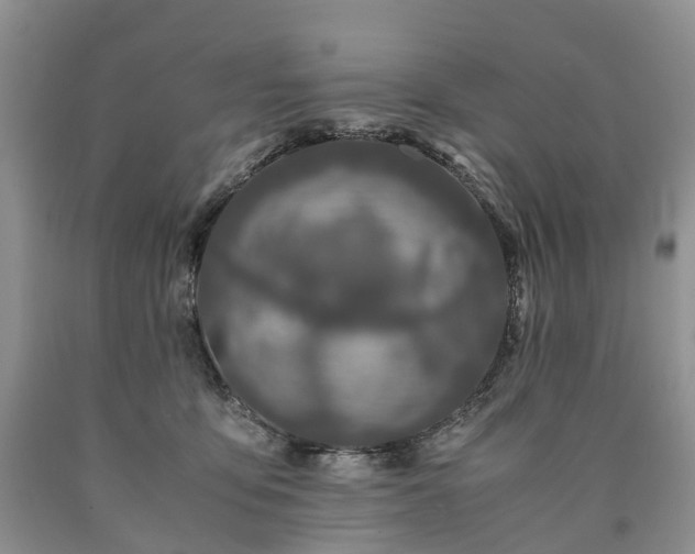 X0000090470419200707201358