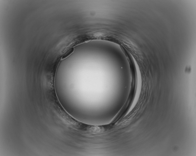 X0000090470421200707201358