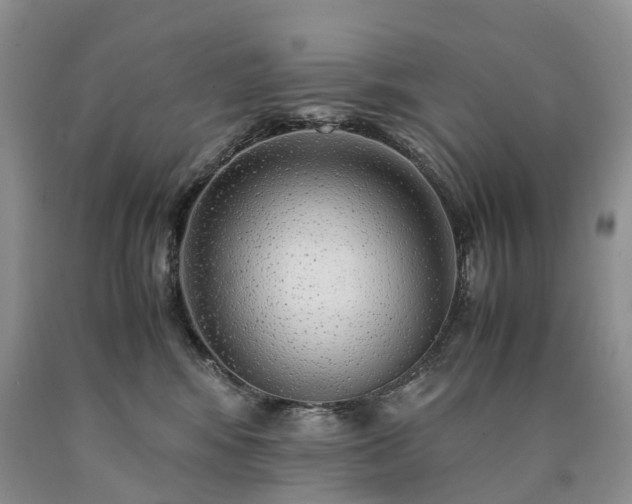 X0000090470424200707201358