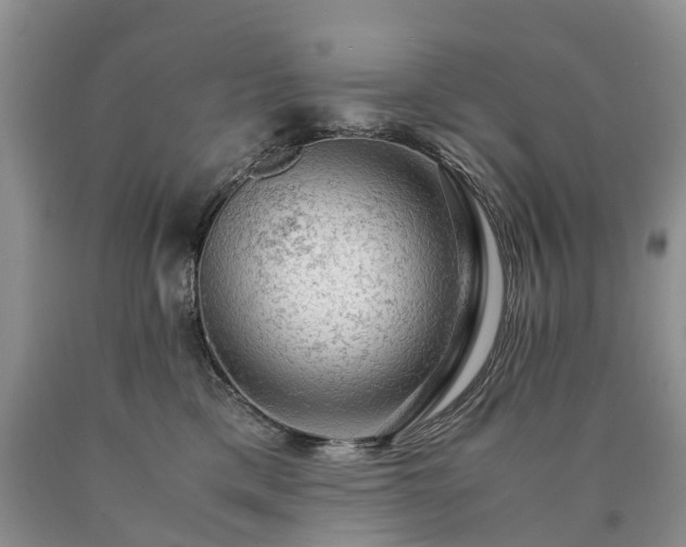 X0000090470425200707201358