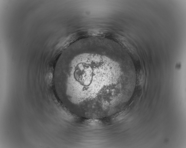 X0000090470427200707201358