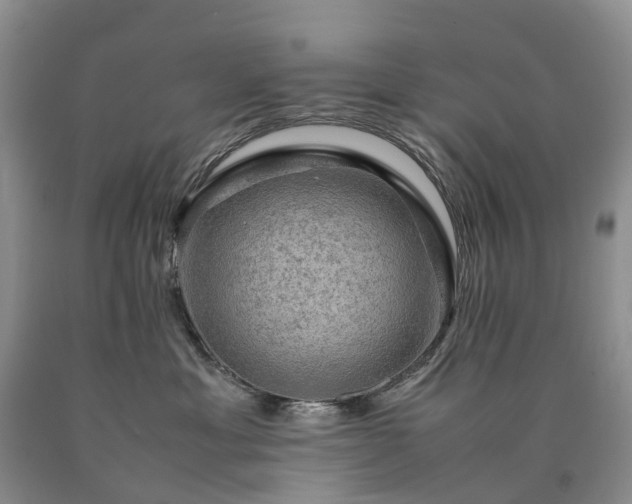 X0000090470429200707201358