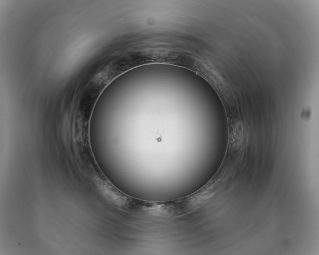 X0000090470430200707201358