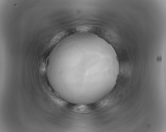 X0000090470431200707201358