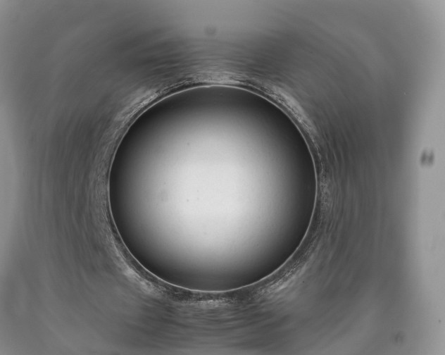 X0000090470433200707201357