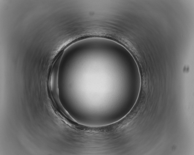 X0000090470434200707201357