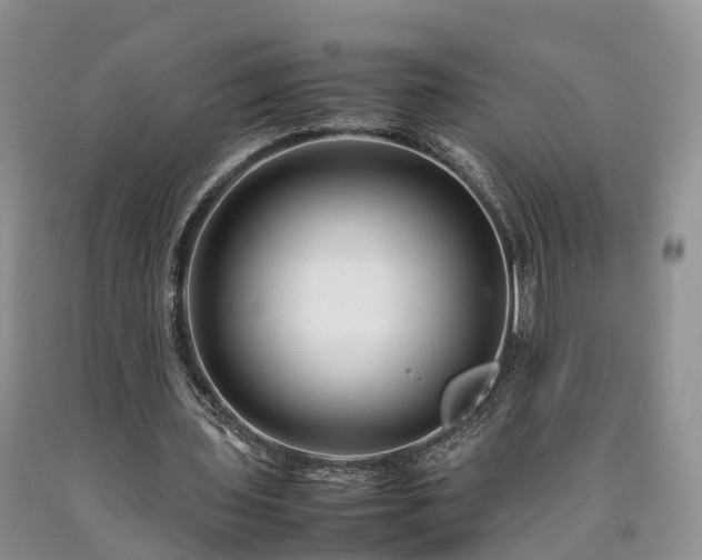 X0000090470435200707201357
