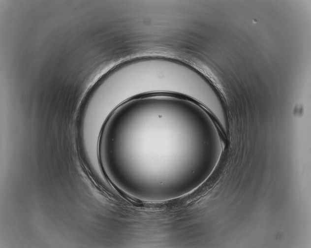 X0000090470436200707201357