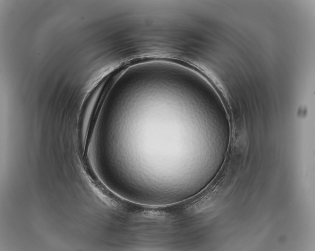 X0000090470437200707201357