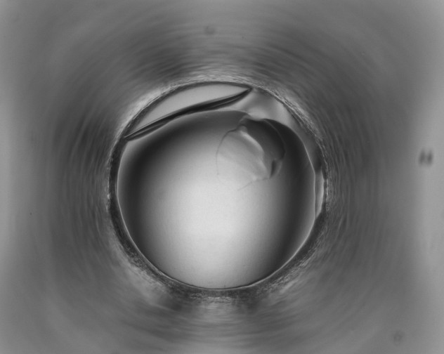 X0000090470438200707201357