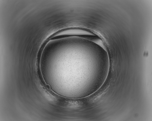 X0000090470439200707201357
