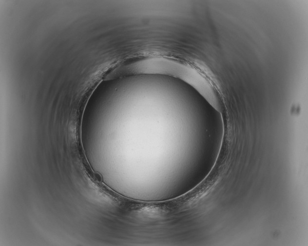X0000090470441200707201357