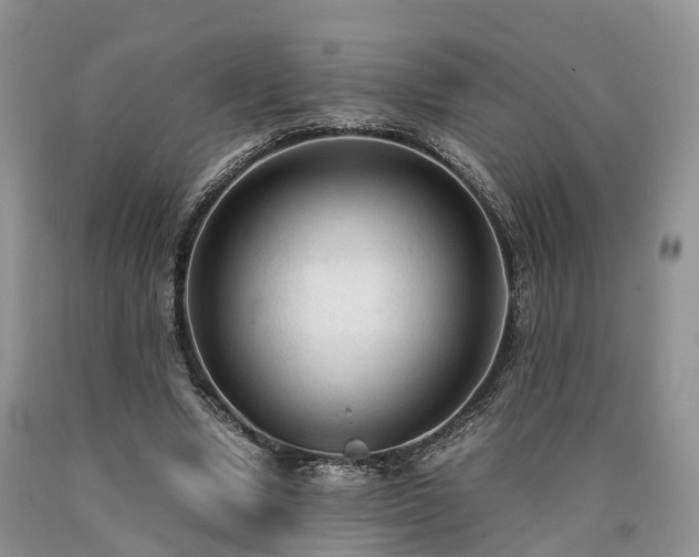 X0000090470442200707201357