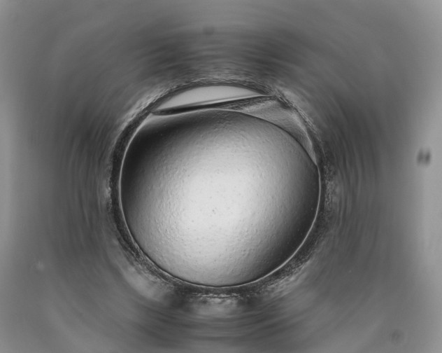 X0000090470443200707201357