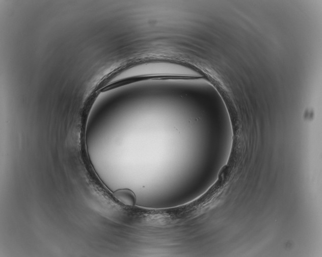 X0000090470446200707201357