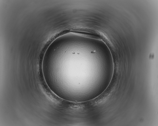 X0000090470447200707201357