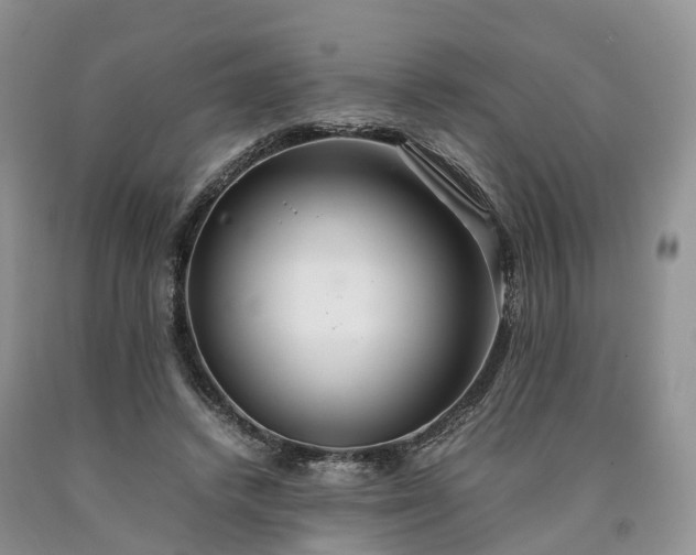 X0000090470448200707201357