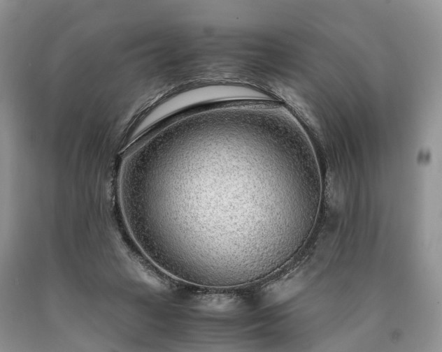 X0000090470449200707201357