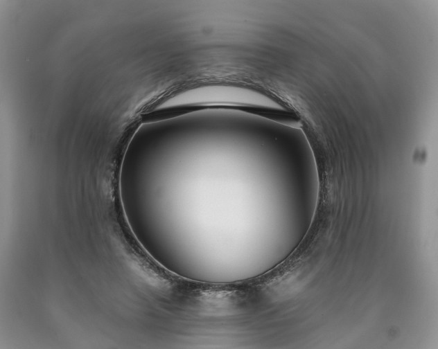 X0000090470450200707201358