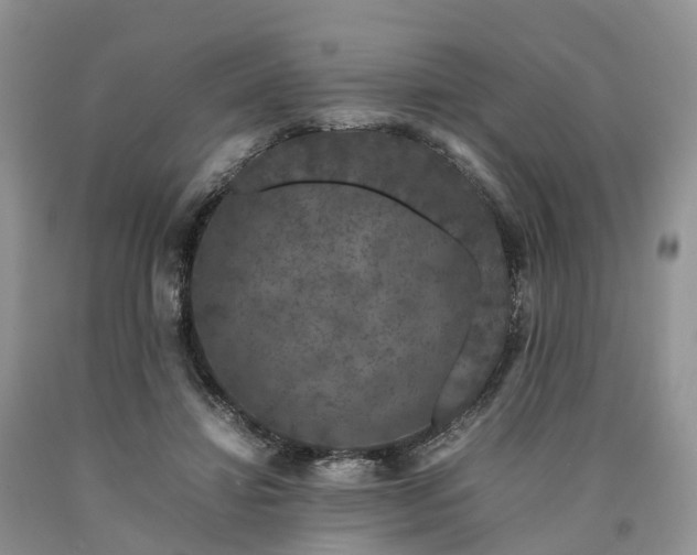 X0000090470452200707201358