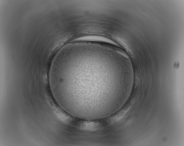 X0000090470453200707201358