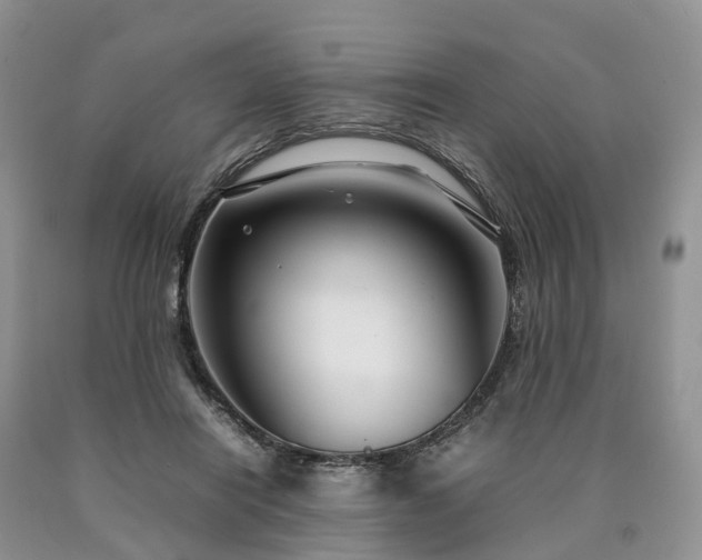 X0000090470454200707201358