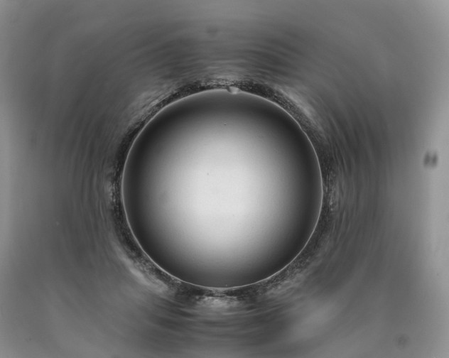 X0000090470455200707201358