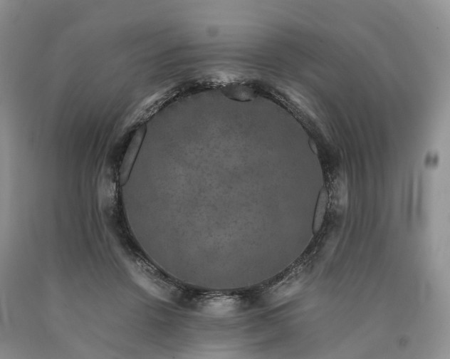 X0000090470456200707201358