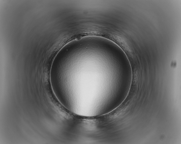 X0000090470457200707201358