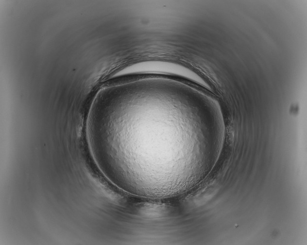 X0000090470458200707201358