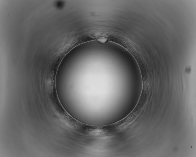 X0000090470460200707201358