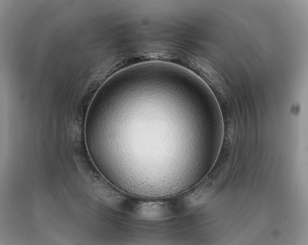 X0000090470461200707201358