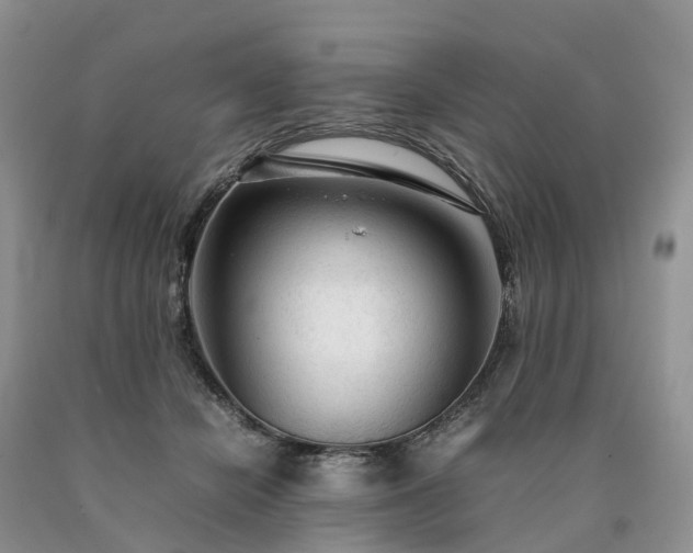 X0000090470462200707201358