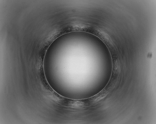 X0000090470463200707201358