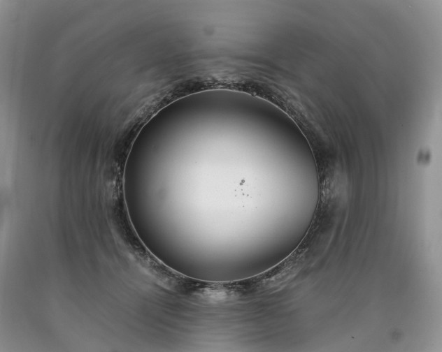 X0000090470464200707201358