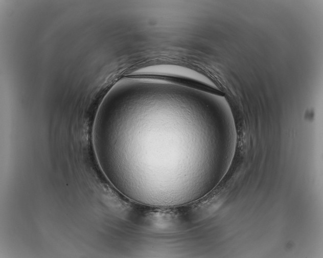 X0000090470466200707201358