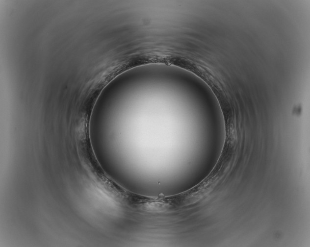 X0000090470468200707201358