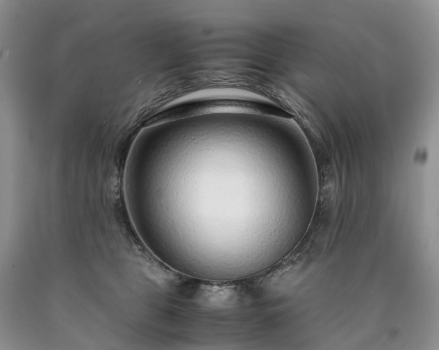 X0000090470469200707201358