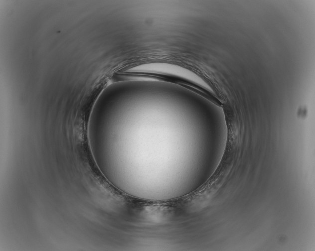 X0000090470470200707201358