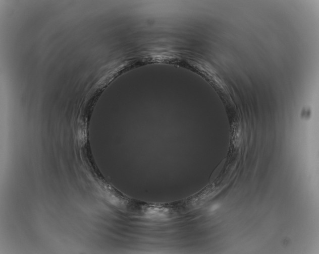X0000090470471200707201358