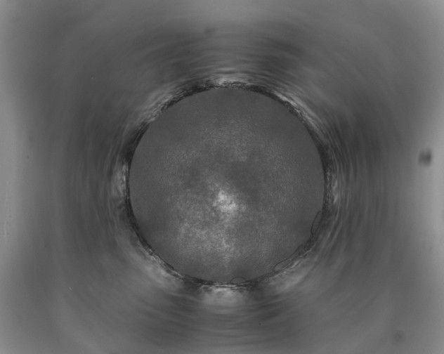 X0000090470475200707201358