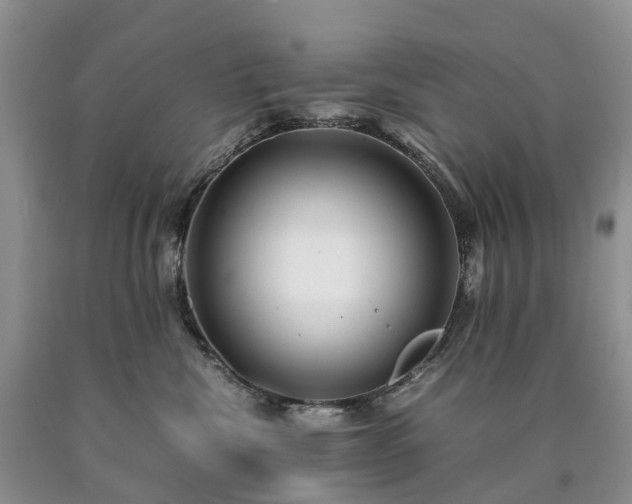 X0000090470476200707201358