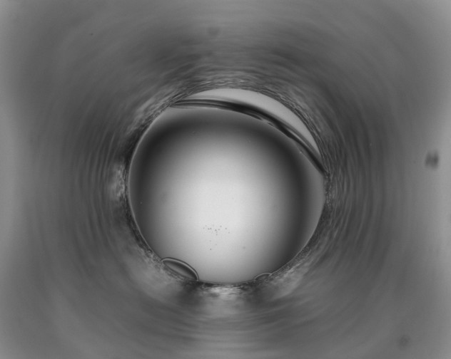 X0000090470478200707201358