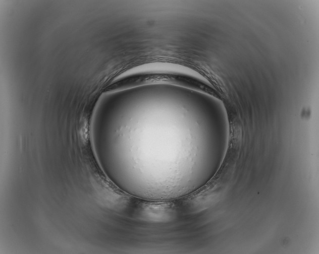 X0000090470479200707201358