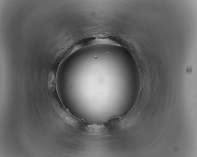 X0000090470480200707201358