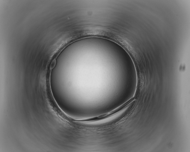 X0000090470482200707201357